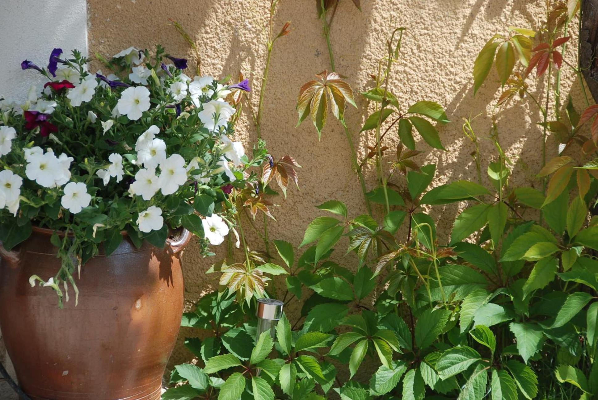 Le Domaine Saint Jean Bed and Breakfast Eksteriør billede