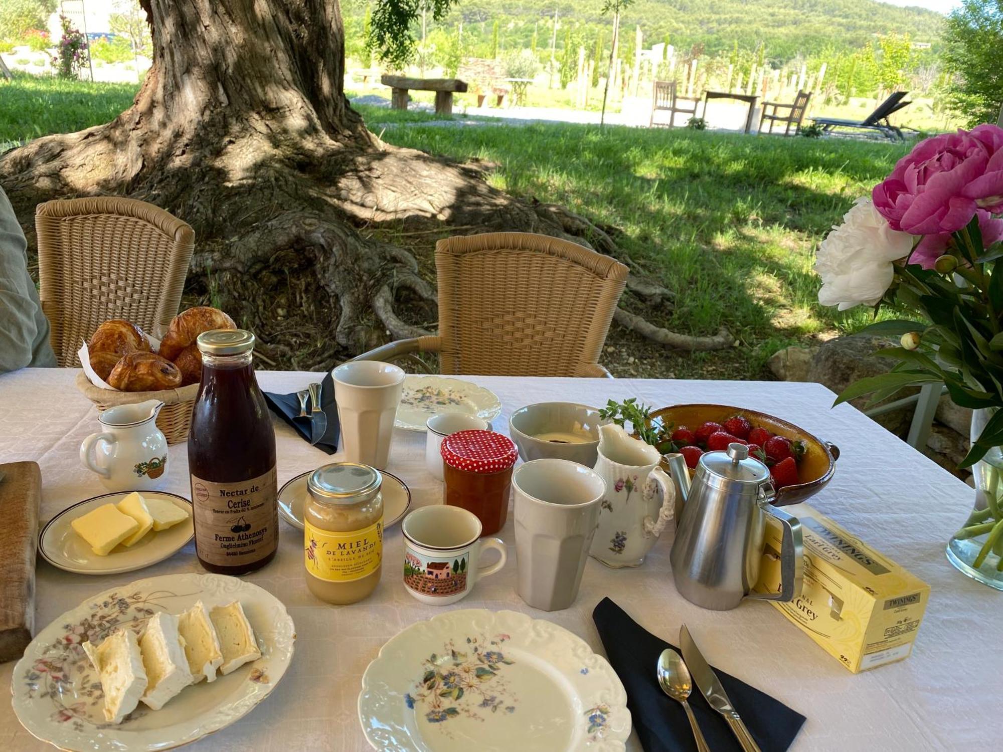 Le Domaine Saint Jean Bed and Breakfast Eksteriør billede